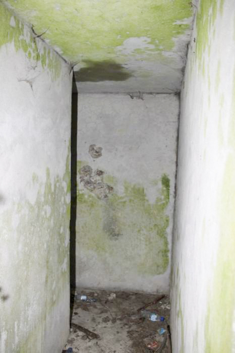 Ligne Maginot - FAHRKOPF NORD - (Blockhaus pour arme infanterie) -  - Les Gardiens du Rhin