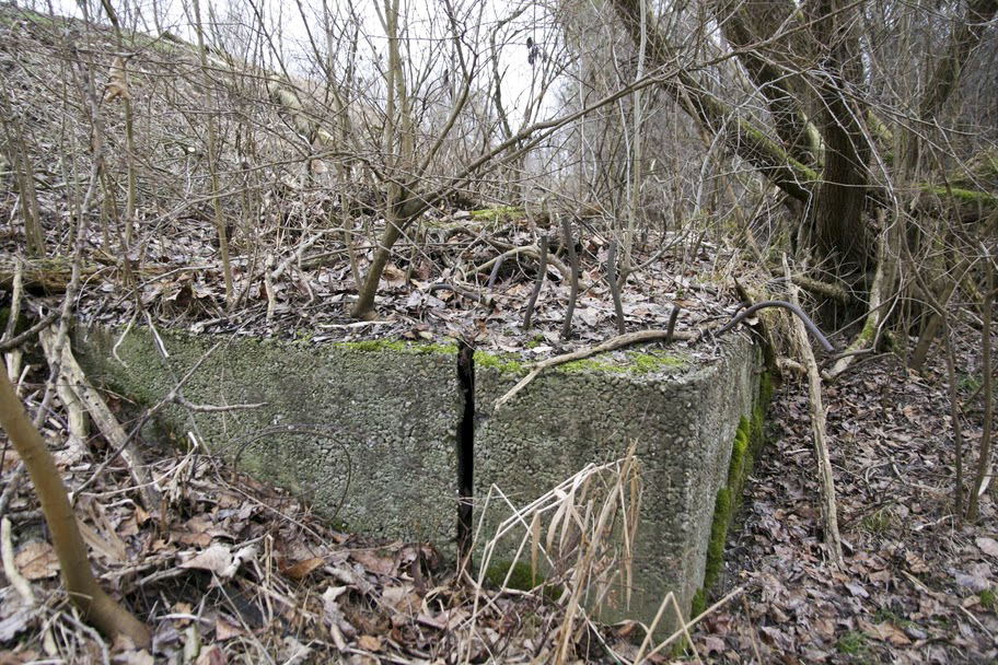 Ligne Maginot - FAHRKOPF Sud - (Blockhaus pour arme infanterie) -  - Les Gardiens du Rhin