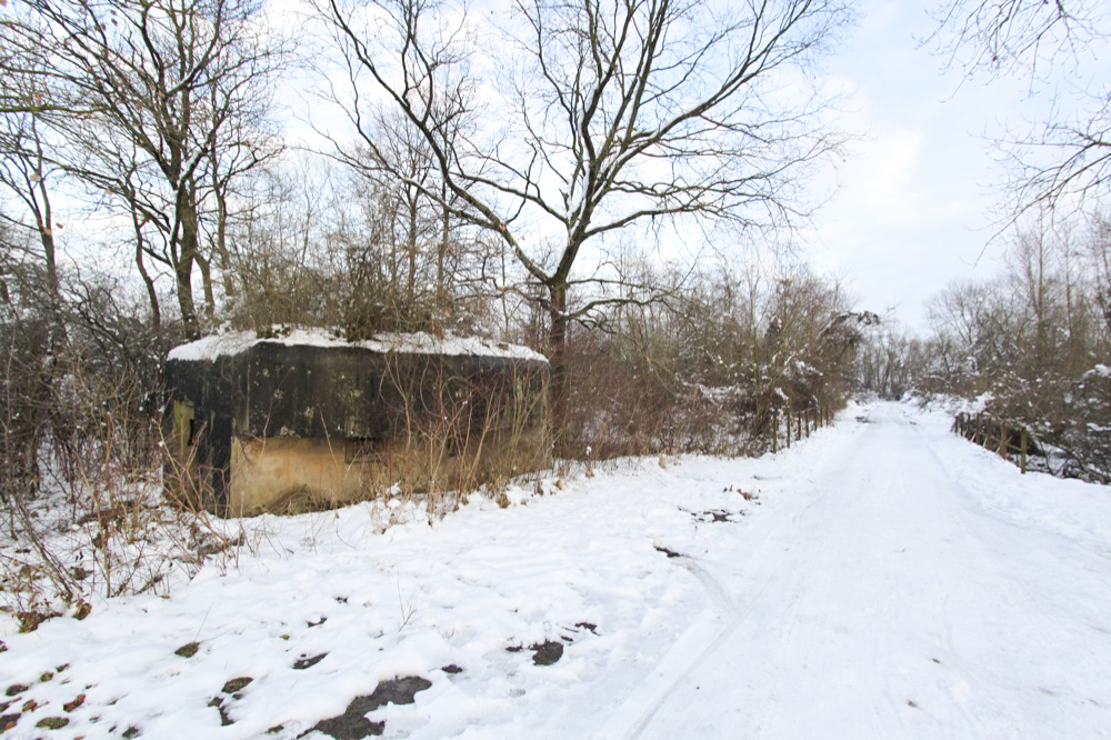 Ligne Maginot - HERRENKOPF NORD - (Blockhaus pour arme infanterie) -  - Les Gardiens du Rhin