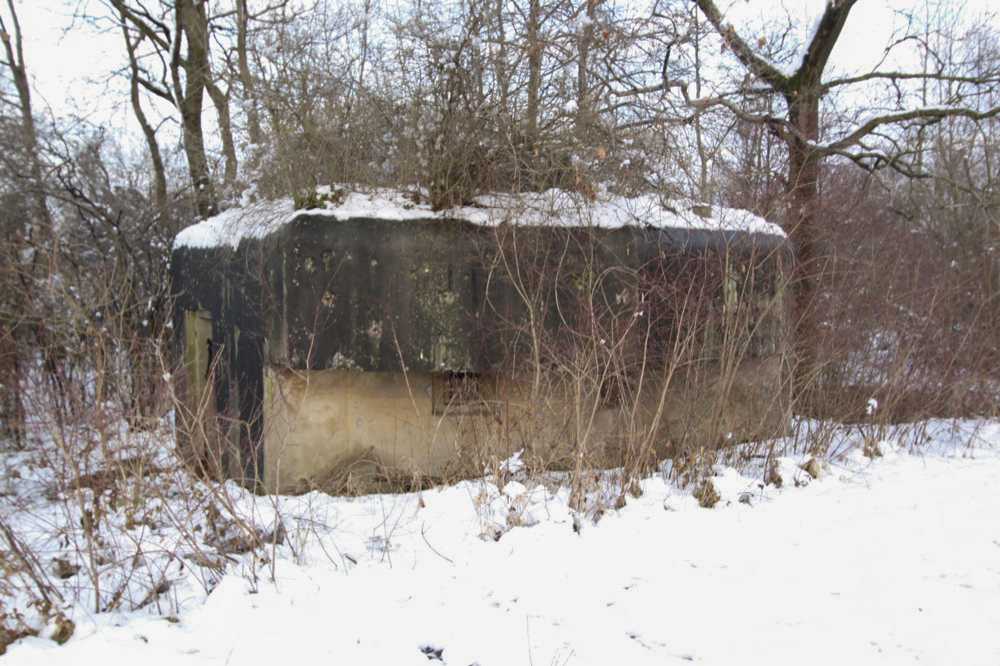 Ligne Maginot - HERRENKOPF NORD - (Blockhaus pour arme infanterie) -  - Les Gardiens du Rhin