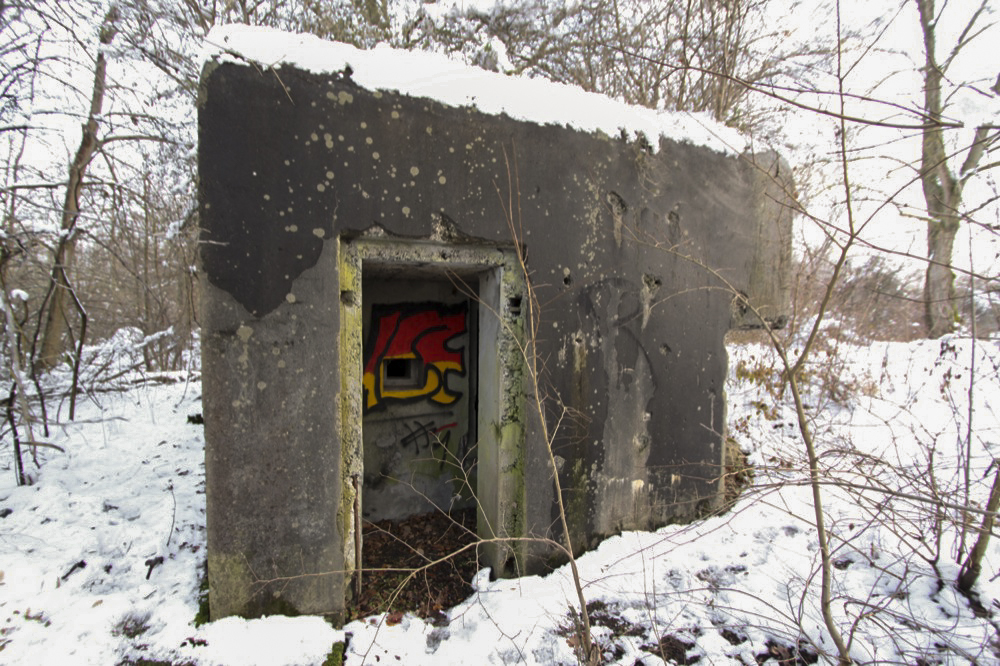 Ligne Maginot - HERRENKOPF NORD - (Blockhaus pour arme infanterie) -  - Les Gardiens du Rhin