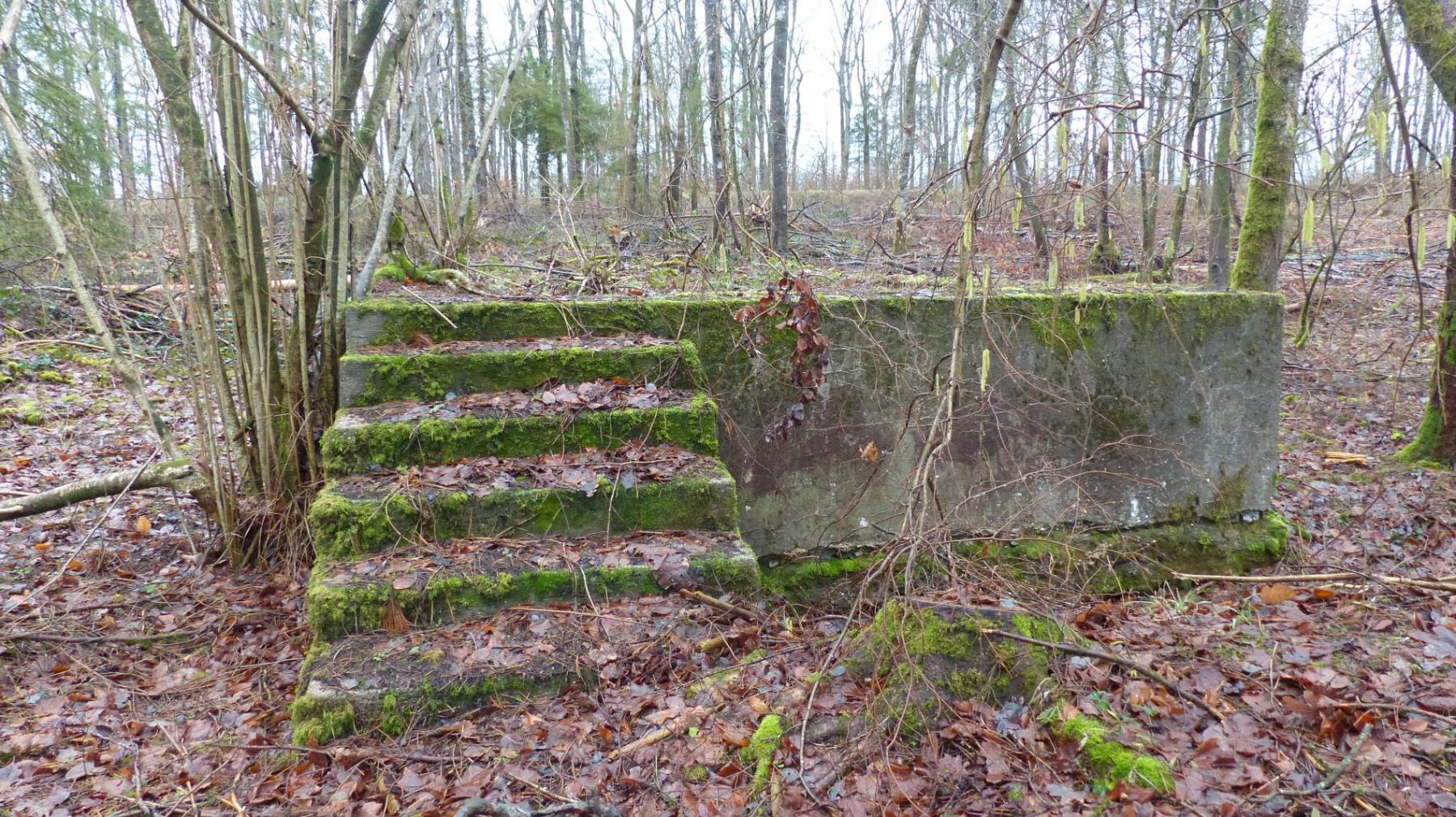 Ligne Maginot - BOIS DE GRAND-FAILLY (41° DI PUIS 3° DINA PUIS 132° RIF) - (PC de Sous-Secteur) - Restes de soubassements de baraques - David HARMAND