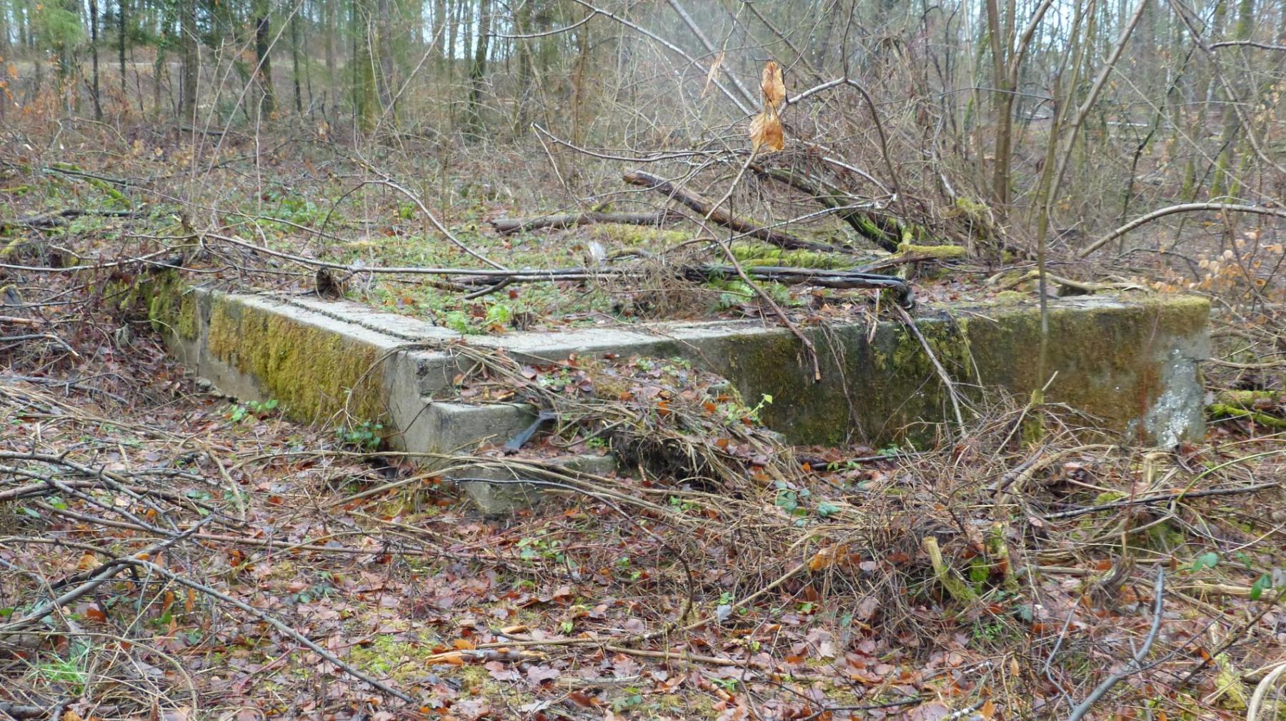 Ligne Maginot - BOIS DE GRAND-FAILLY (41° DI PUIS 3° DINA PUIS 132° RIF) - (PC de Sous-Secteur) - Restes de soubassements de baraques - David HARMAND