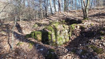 Ligne Maginot - GUNSTHAL COL - Fondations de baraquement entre les deux blockhaus