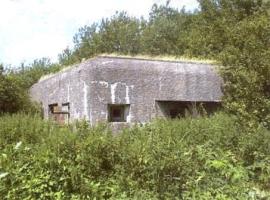 Ligne Maginot - B299 - La VALLEE - (Blockhaus pour canon) - 