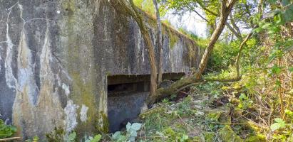 Ligne Maginot - WANTZENAU GARE - (PC de Sous-Quartier) - Chambre de tir nord pour deux mitrailleuses
