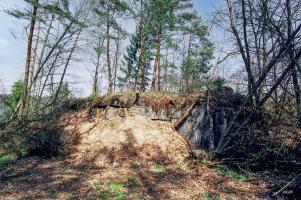 Ligne Maginot - Casemate de Glasbronn - La façade de la chambre de tir et l'entrée merlonnées