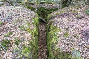 Ligne Maginot - Casemate de Glasbronn - Départ du boyau d'accès depuis la tranchée