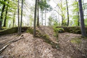 Ligne Maginot - MAIN du PRINCE 2 (Blockhaus pour arme infanterie) - Les deux blockhaus pour mitrailleuse avec leurs talus de protection en pierres sèches 