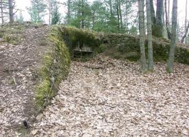 Ligne Maginot - MAIN du PRINCE 2 (Blockhaus pour arme infanterie) - Blockhaus mitrailleuse de droite
Vestige du treillage de fixation du camouflage
