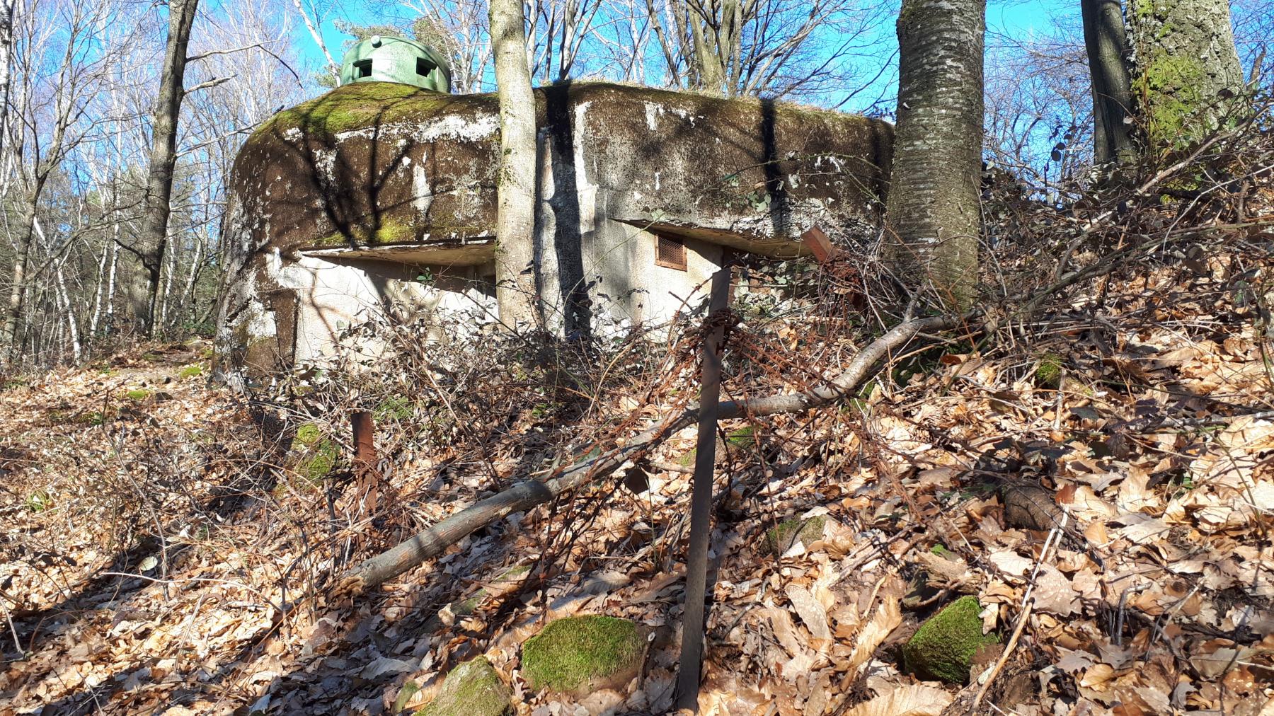 Ligne Maginot - GUNSTHAL COL OUEST - (Blockhaus pour arme infanterie) - Les restes du réseau anti-personnel - Gregory Fuchs