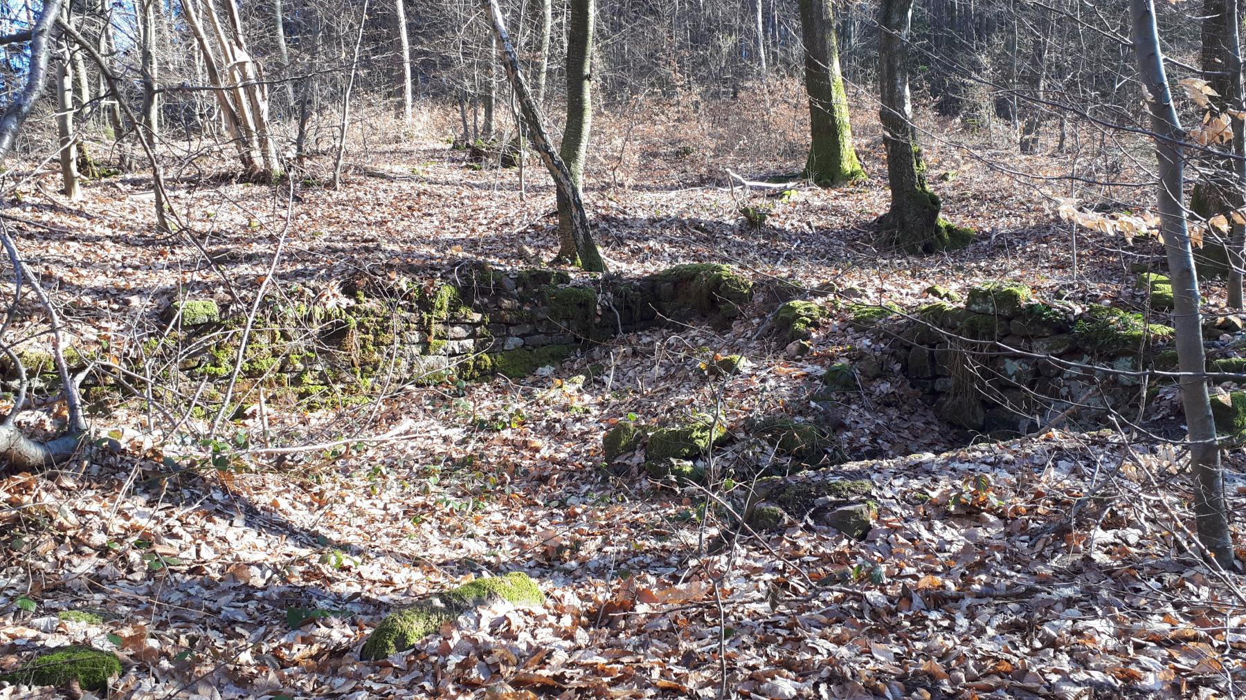 Ligne Maginot - GUNSTHAL COL - Fondations de baraquement entre les deux blockhaus - Gregory Fuchs