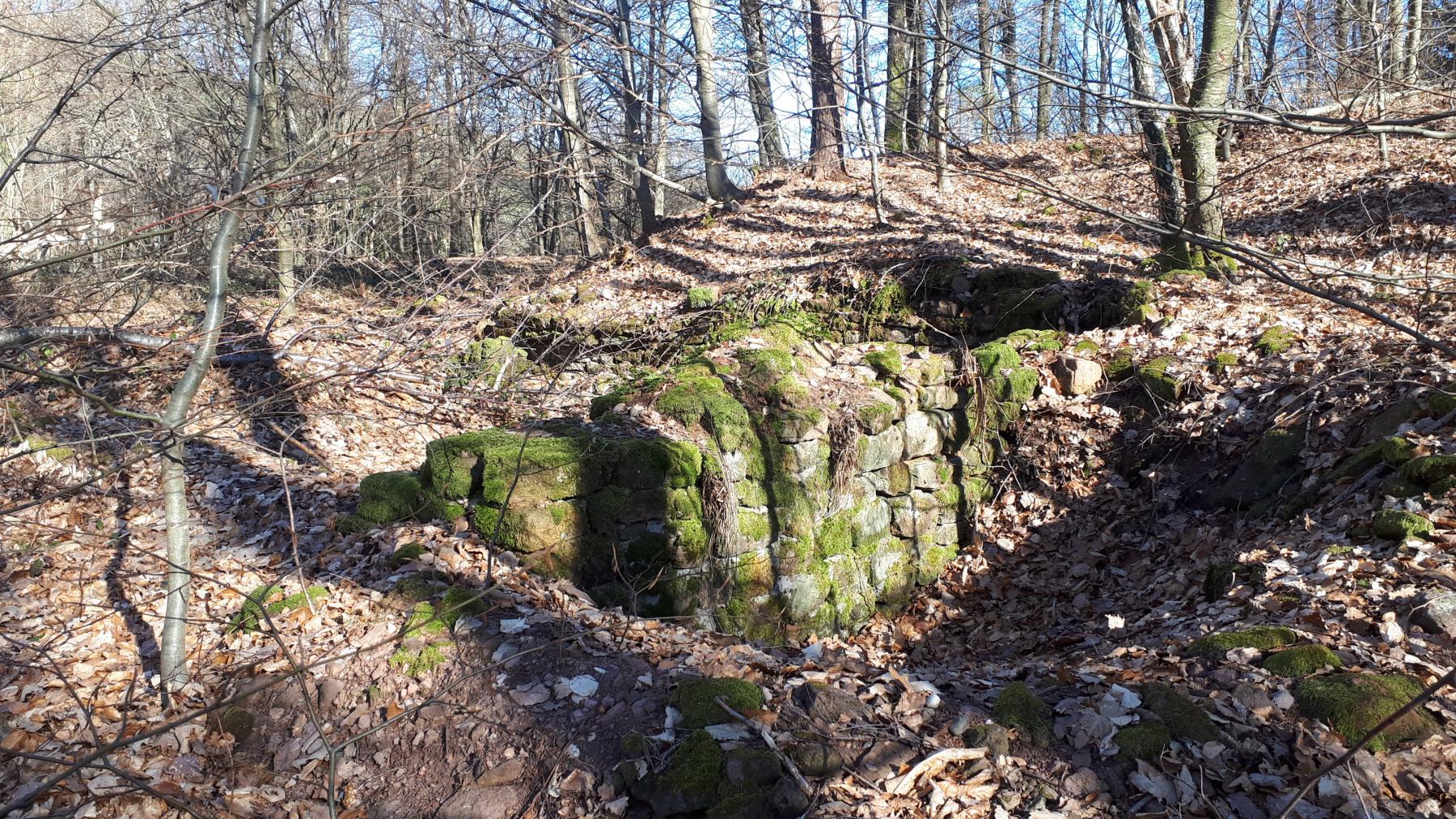 Ligne Maginot - GUNSTHAL COL - Fondations de baraquement entre les deux blockhaus - Gregory Fuchs
