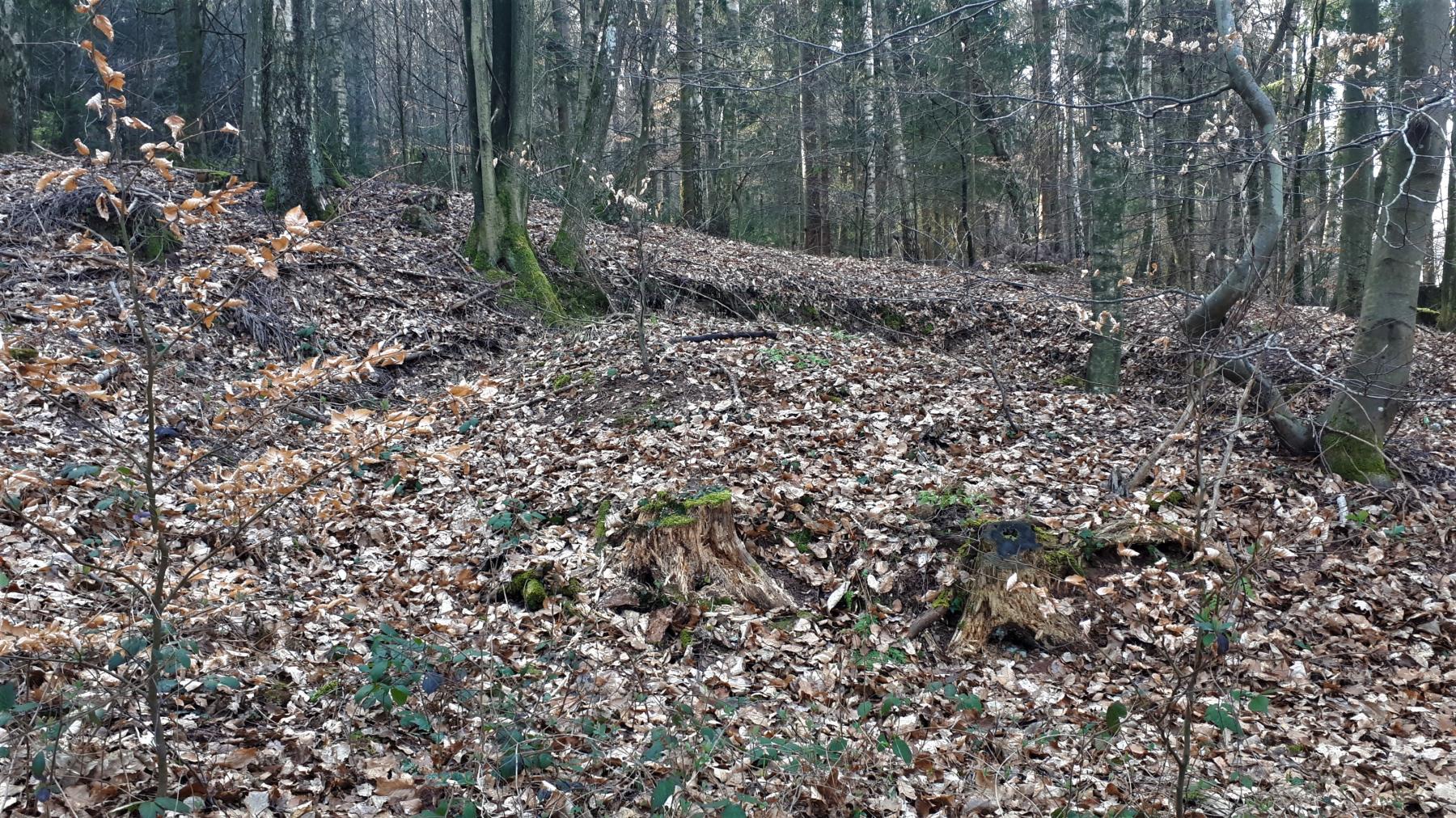 Ligne Maginot - NAGELSTHAL - (Blockhaus pour arme infanterie) - Tranchée menant à un retranchement à proximité du blockhaus - Gregory Fuchs