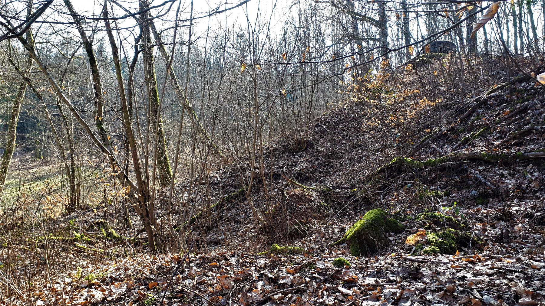 Ligne Maginot - GUNSTHAL FERME OUEST - (Blockhaus pour arme infanterie) - Cratère de bombe devant le blockhaus  - Gregory Fuchs