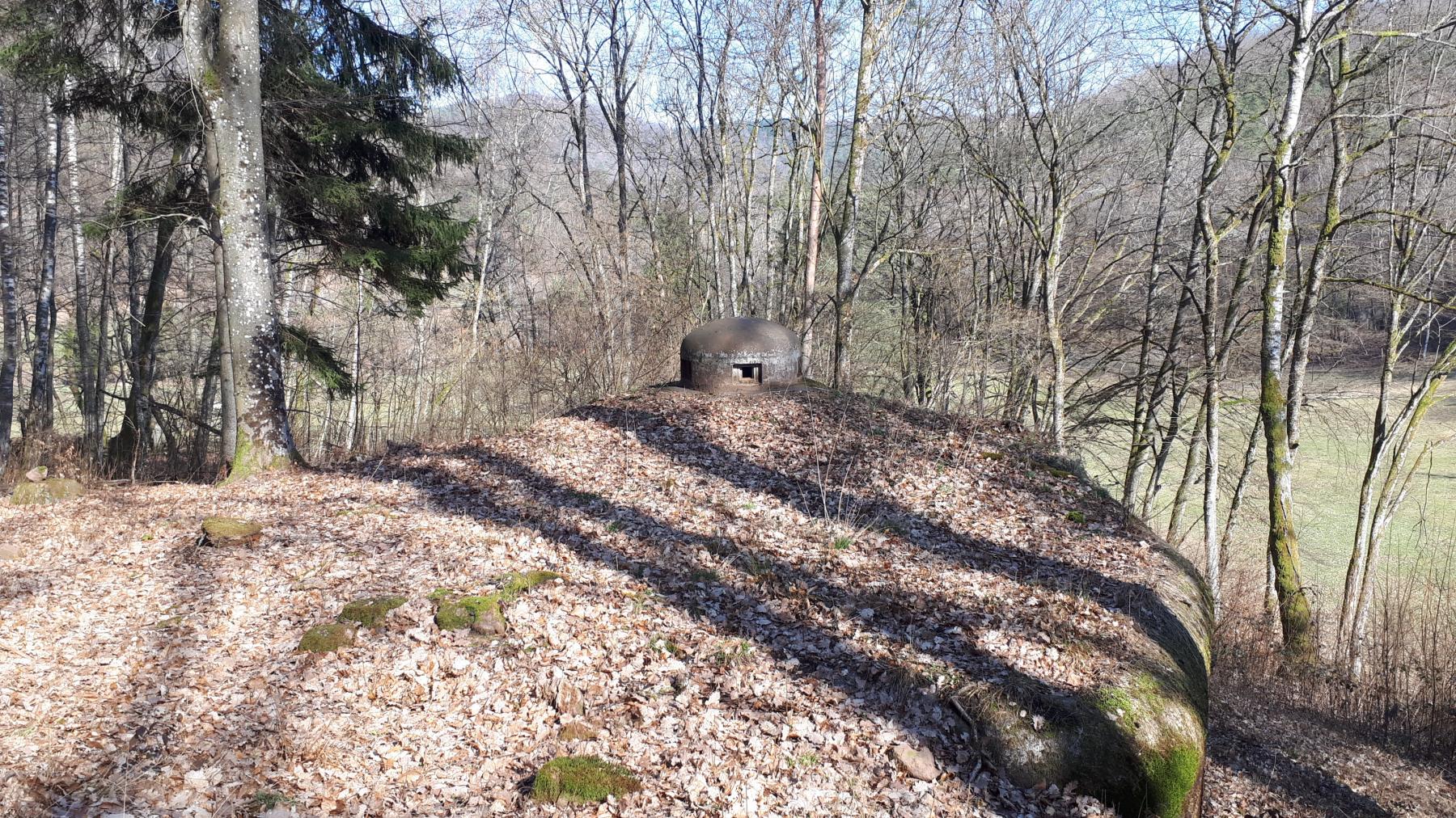 Ligne Maginot - GUNSTHAL FERME OUEST - (Blockhaus pour arme infanterie) - La cloche GFM surplombant le vallon de Guensthal - Gregory Fuchs