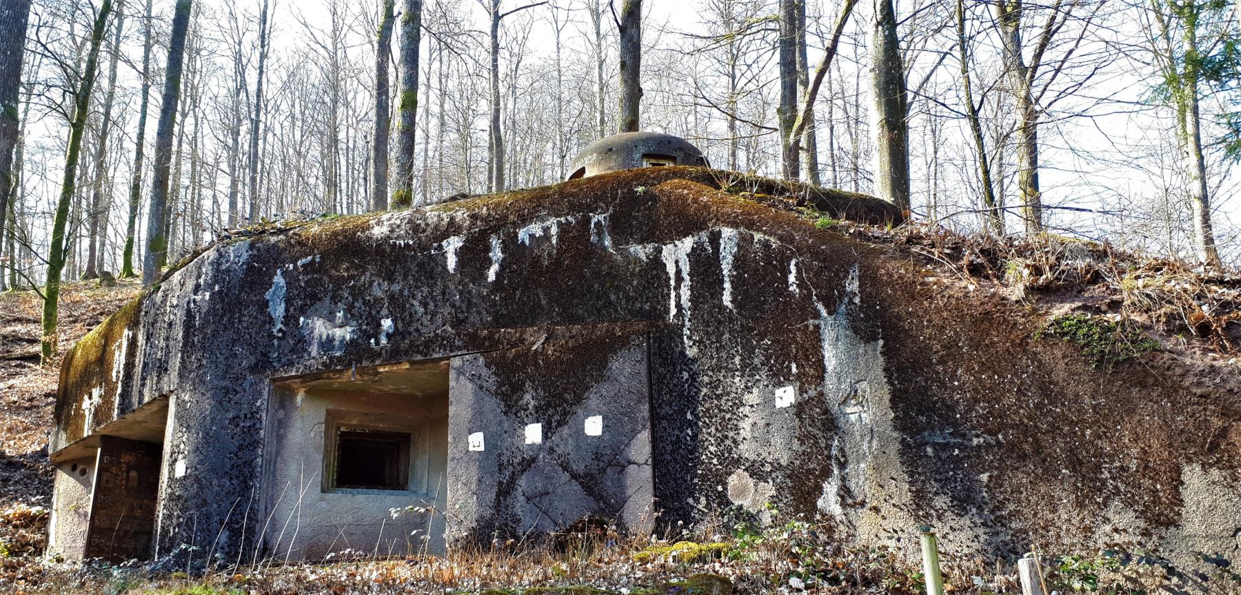 Ligne Maginot - GUNSTHAL FERME OUEST - (Blockhaus pour arme infanterie) - Vue sur la chambre de tir - Gregory Fuchs