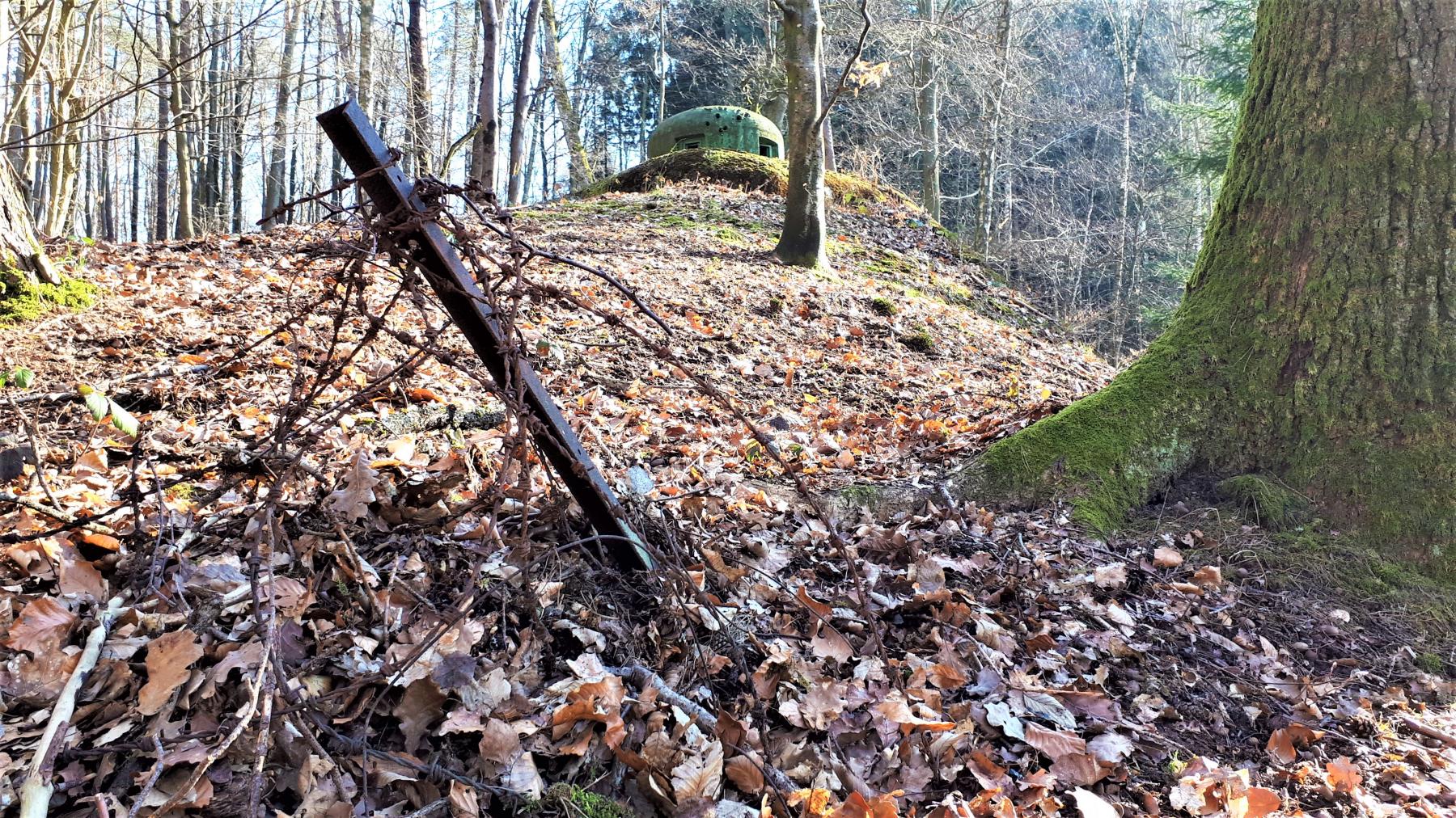 Ligne Maginot - GUNSTHAL FERME EST - (Blockhaus pour arme infanterie) - Réseau barbelés devant la cloche GFM - Gregory Fuchs