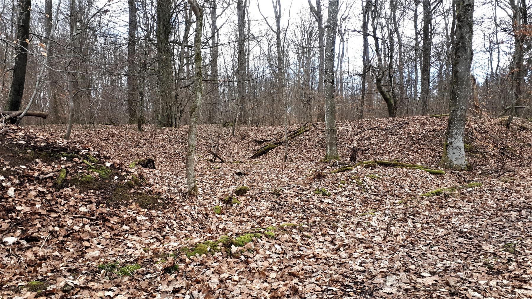 Ligne Maginot - LANGENSOULTZBACH - (Dépôt du Génie) - Emplacement d'un bâtiment de stockage - Gregory Fuchs