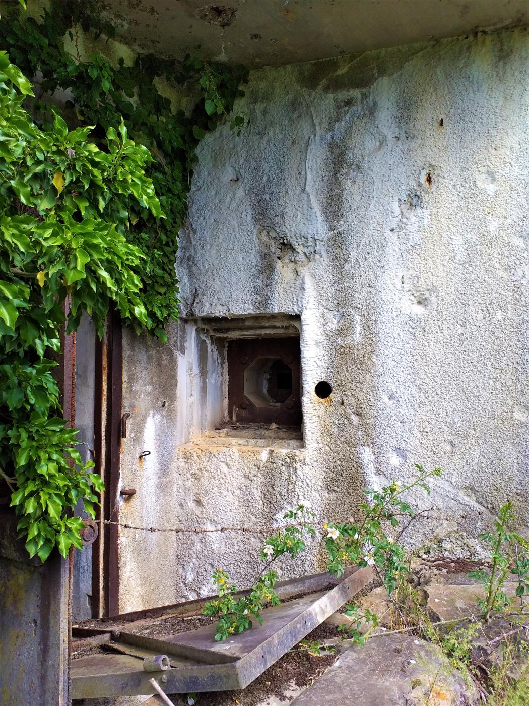 Ligne Maginot - HOFFEN - (Abri) - Caponnière FM de l'entrée Sud - Gregory Fuchs