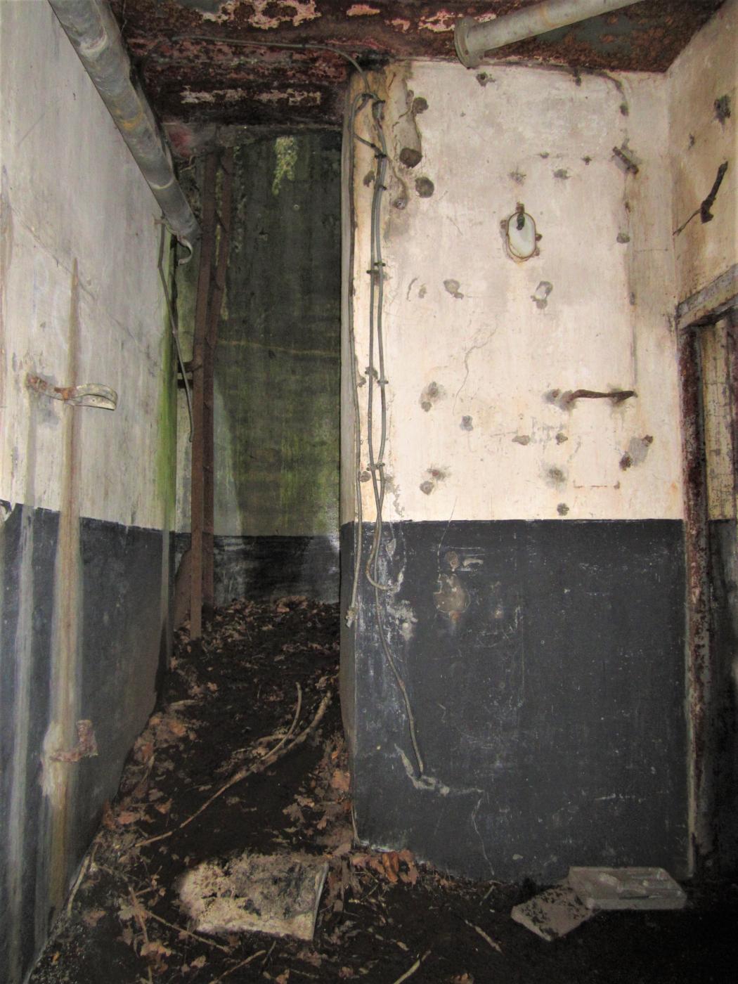 Ligne Maginot - FREUDENBERG - (Observatoire d'artillerie) - Puits de la cloche GFM - Gregory Fuchs