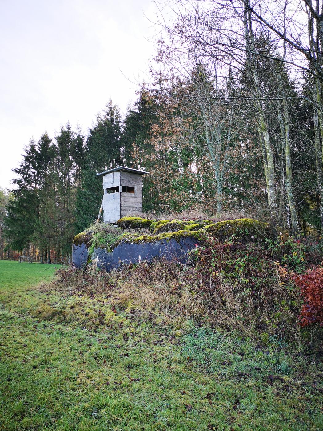Ligne Maginot - WASENBERG 7 - (Blockhaus pour arme infanterie) - Vue sur le blockhaus n°7 du Wasenberg, explosé par les allemands en 1944. Un mirador a été installé à proximité - DK_Antoine4