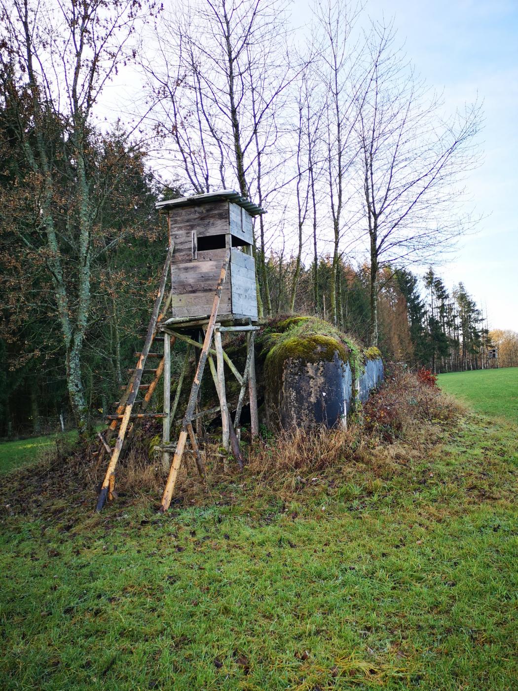 Ligne Maginot - WASENBERG 7 - (Blockhaus pour arme infanterie) - Vue sur le blockhaus n°7 du Wasenberg, explosé par les allemands en 1944. Un mirador a été installé à proximité. - DK_Antoine4