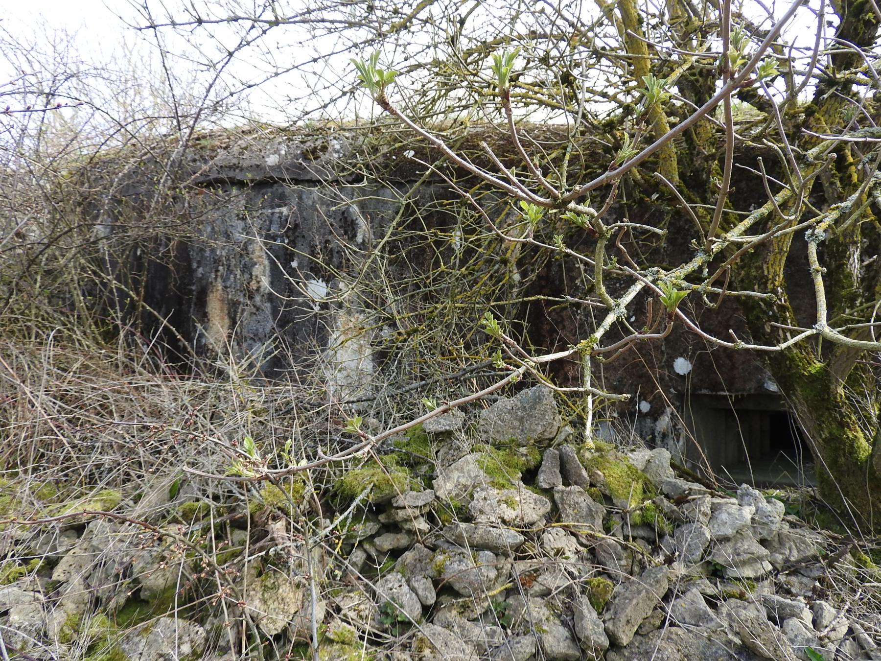 Ligne Maginot - AB25 - (Blockhaus pour canon) - La façade de tir. - STENGER Mathieu