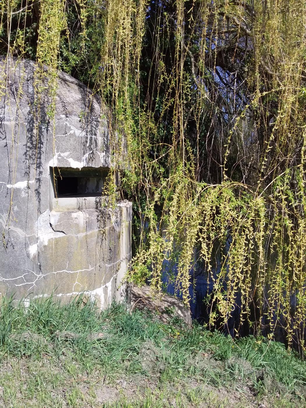 Ligne Maginot - ILLHAEUSERN 3 - (Blockhaus pour arme infanterie) - Coupole sud - Muntzinger Joel