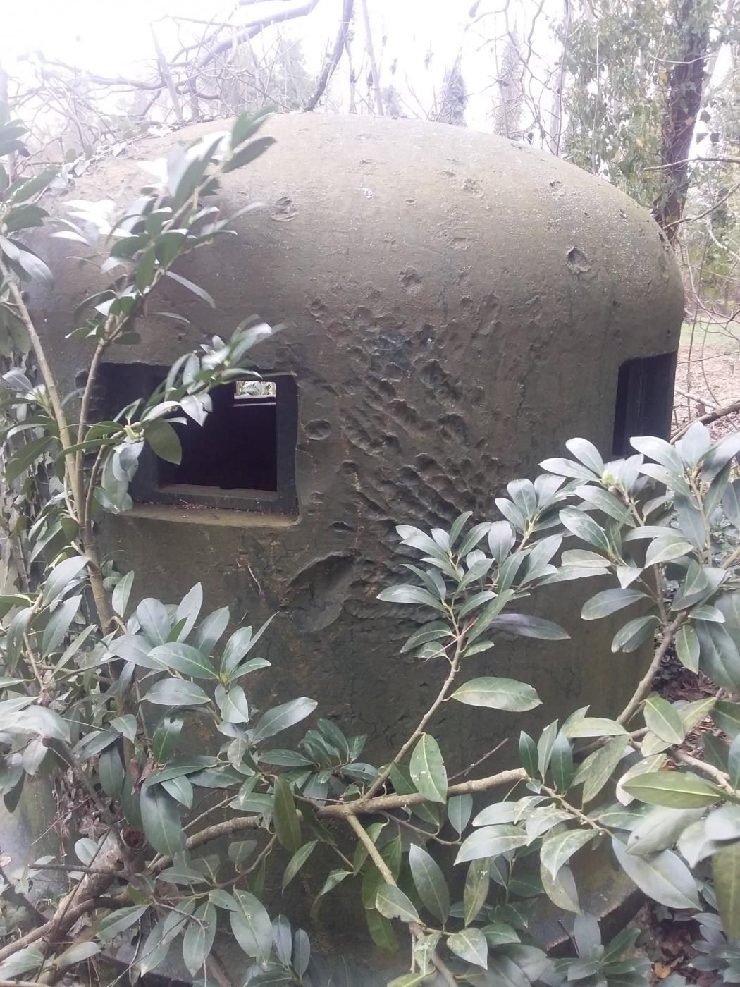 Ligne Maginot - 36/3 - ARTZENHEIM NORD - (Casemate d'infanterie - Simple) -  - Joël Muntzinger