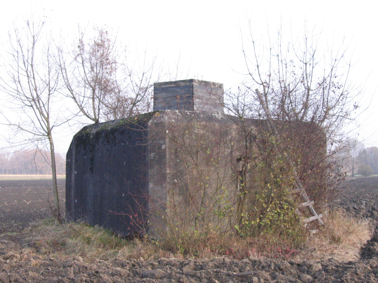 Ligne Maginot - HILGEN EST - (Blockhaus pour arme infanterie) -  - A. SCHOEN