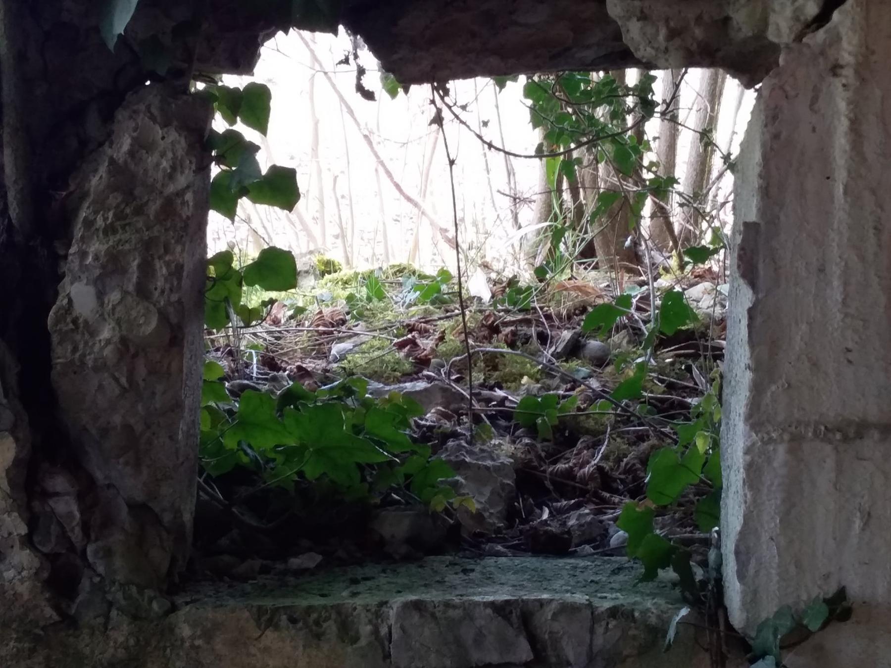 Ligne Maginot - SAASENHEIM NORD 2 - (Blockhaus pour arme infanterie) -  - Joel Muntzinger