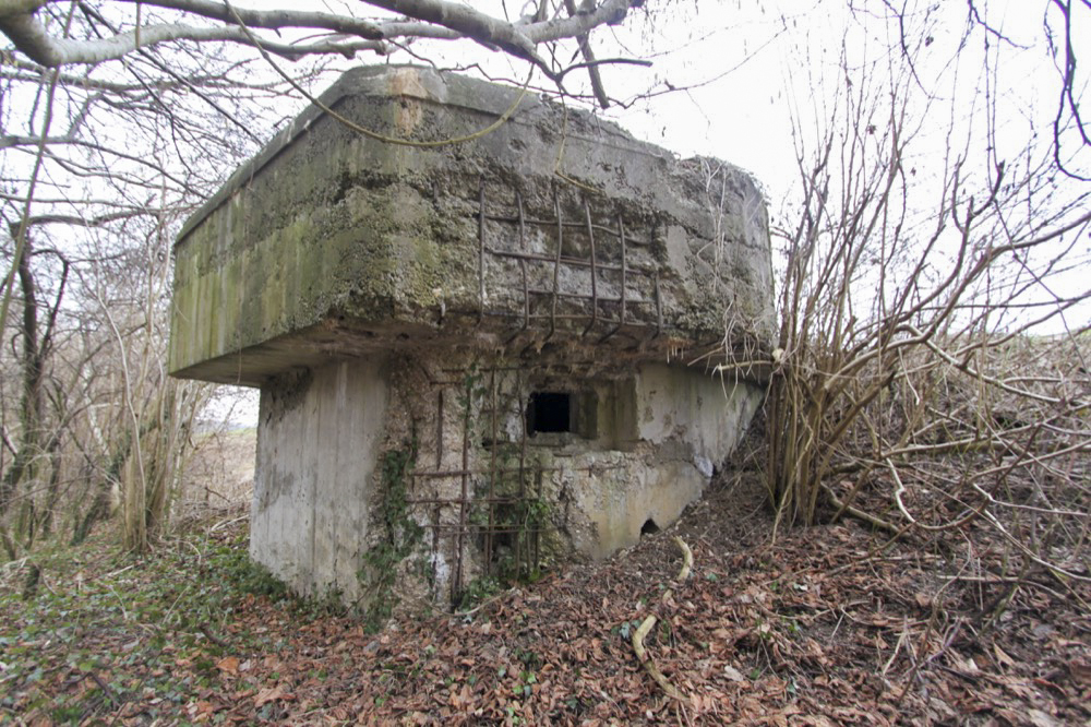 Ligne Maginot - JUNGGRUND - (Blockhaus pour arme infanterie) -  - A. SCHOEN