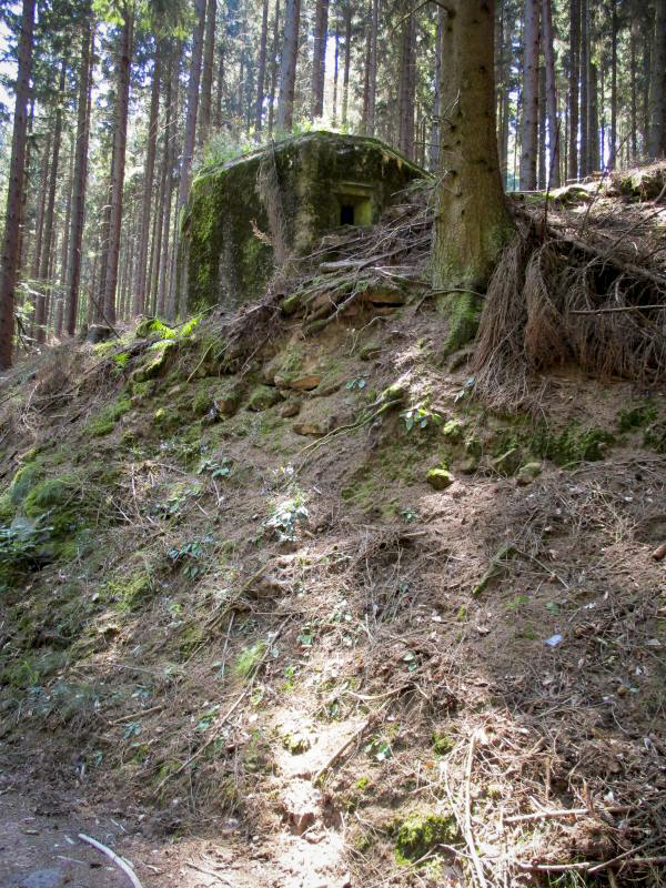 Ligne Maginot - FM77 - BETZENTHAL 4 - (Blockhaus pour arme infanterie) - Le créneau frontal vu depuis le chemin forestier - Fré Do