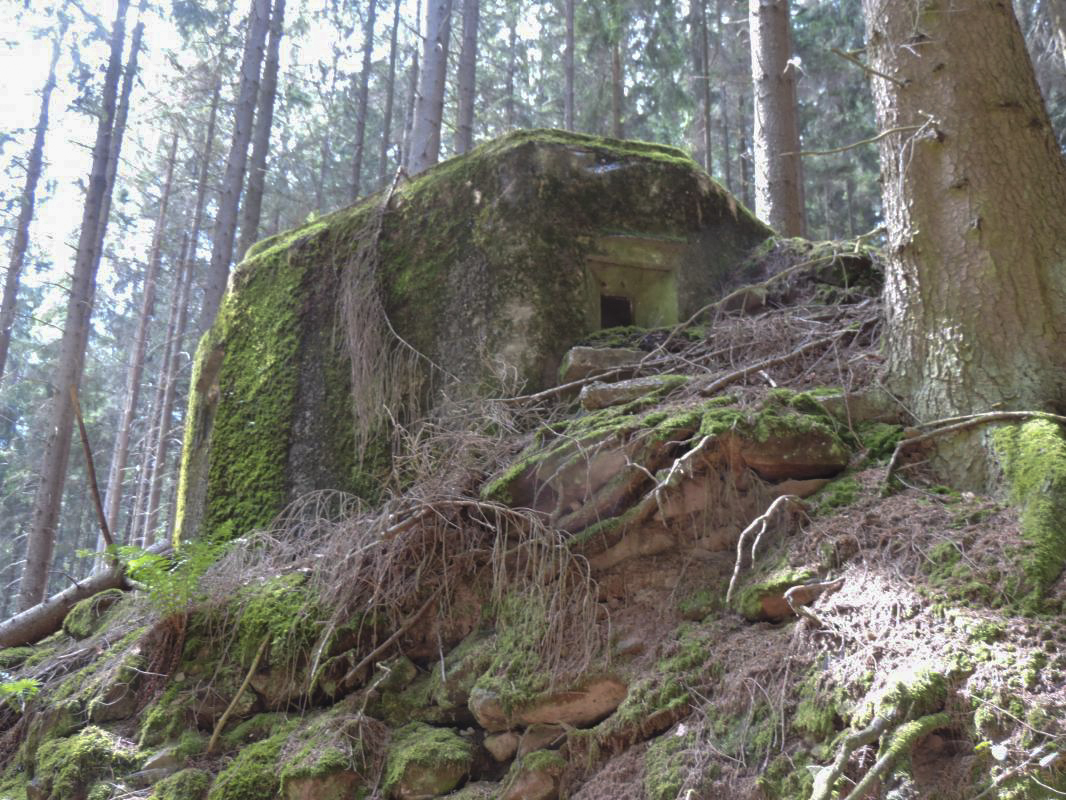 Ligne Maginot - FM77 - BETZENTHAL 4 - (Blockhaus pour arme infanterie) - Le créneau frontal - Claude HETZEL