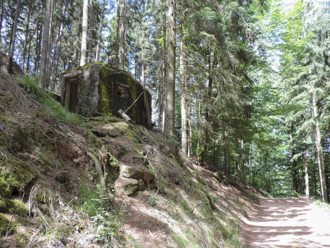 Ligne Maginot - FM77 - BETZENTHAL 4 - (Blockhaus pour arme infanterie) - L'entrée et le créneau latéral vu depuis le chemin forestier - Claude HETZEL