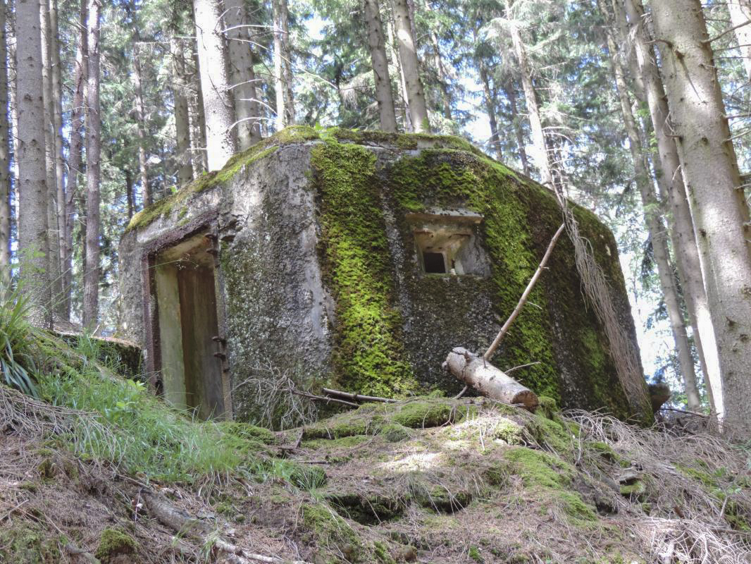 Ligne Maginot - FM77 - BETZENTHAL 4 - (Blockhaus pour arme infanterie) - L'entrée et le créneau latéral - Claude HETZEL