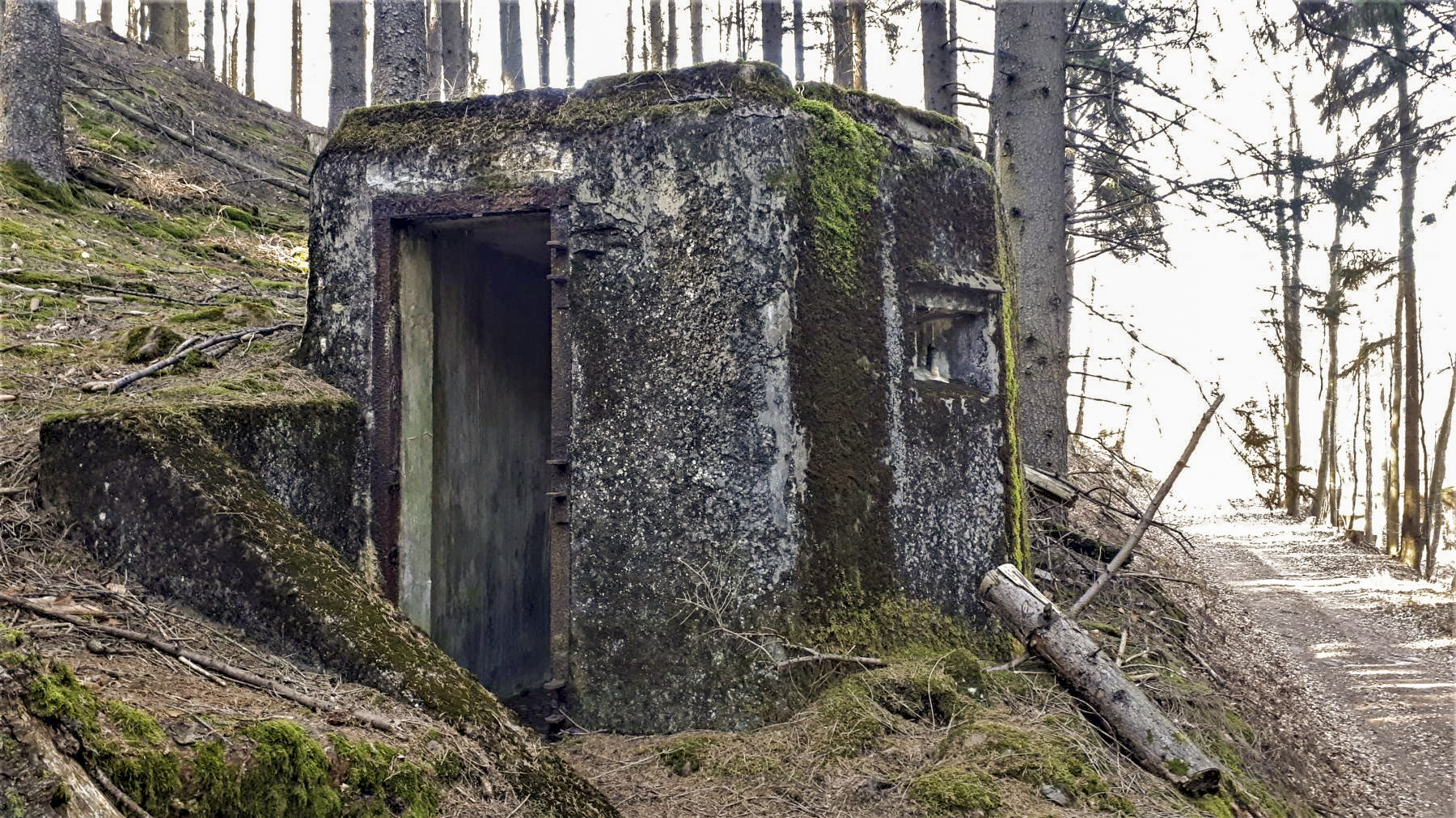Ligne Maginot - FM77 - BETZENTHAL 4 - (Blockhaus pour arme infanterie) - L'entrée et le créneau latéral - Gregory Fuchs