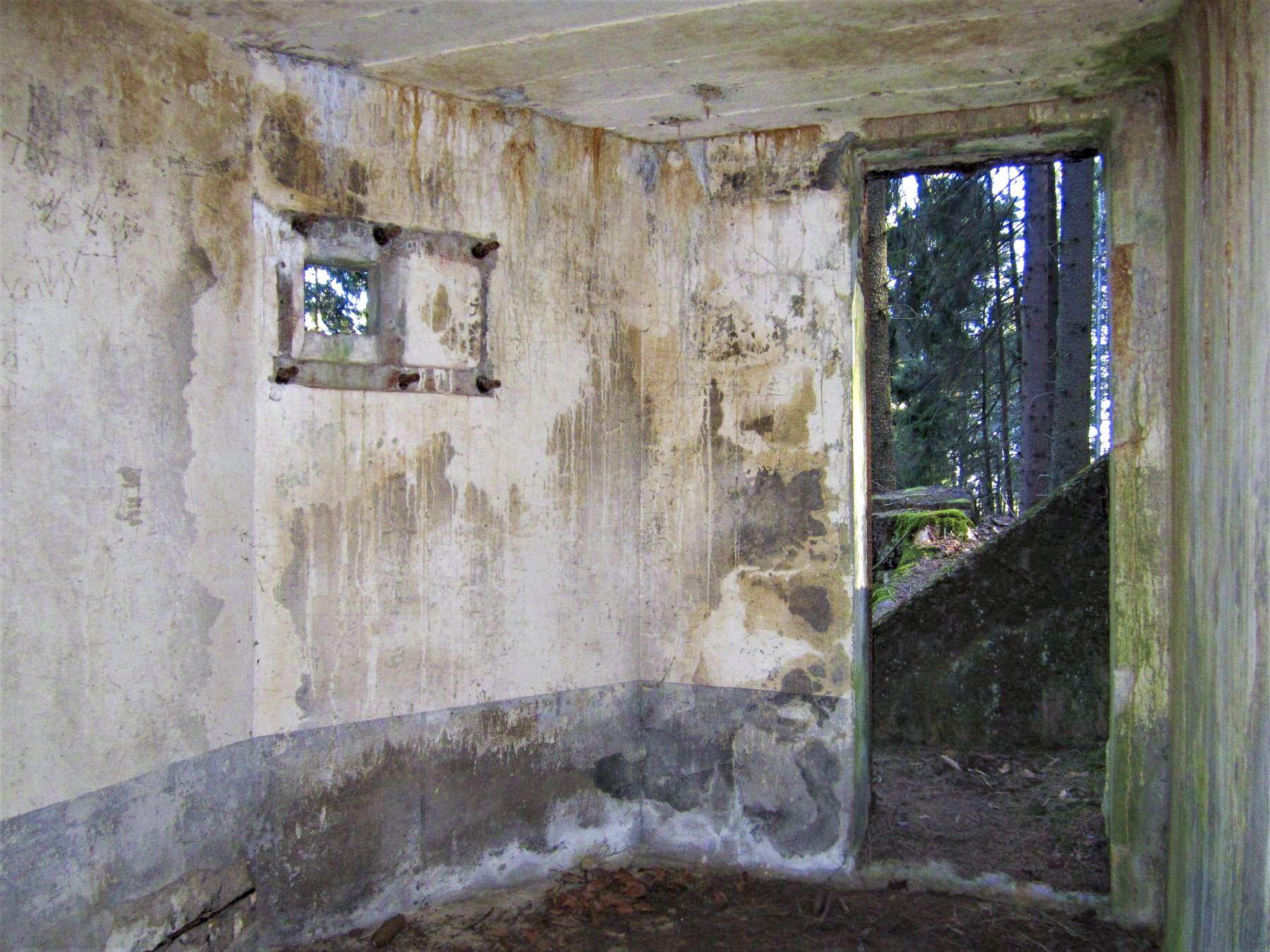 Ligne Maginot - FM77 - BETZENTHAL 4 - (Blockhaus pour arme infanterie) - L'entrée et le créneau latéral  - Gregory Fuchs
