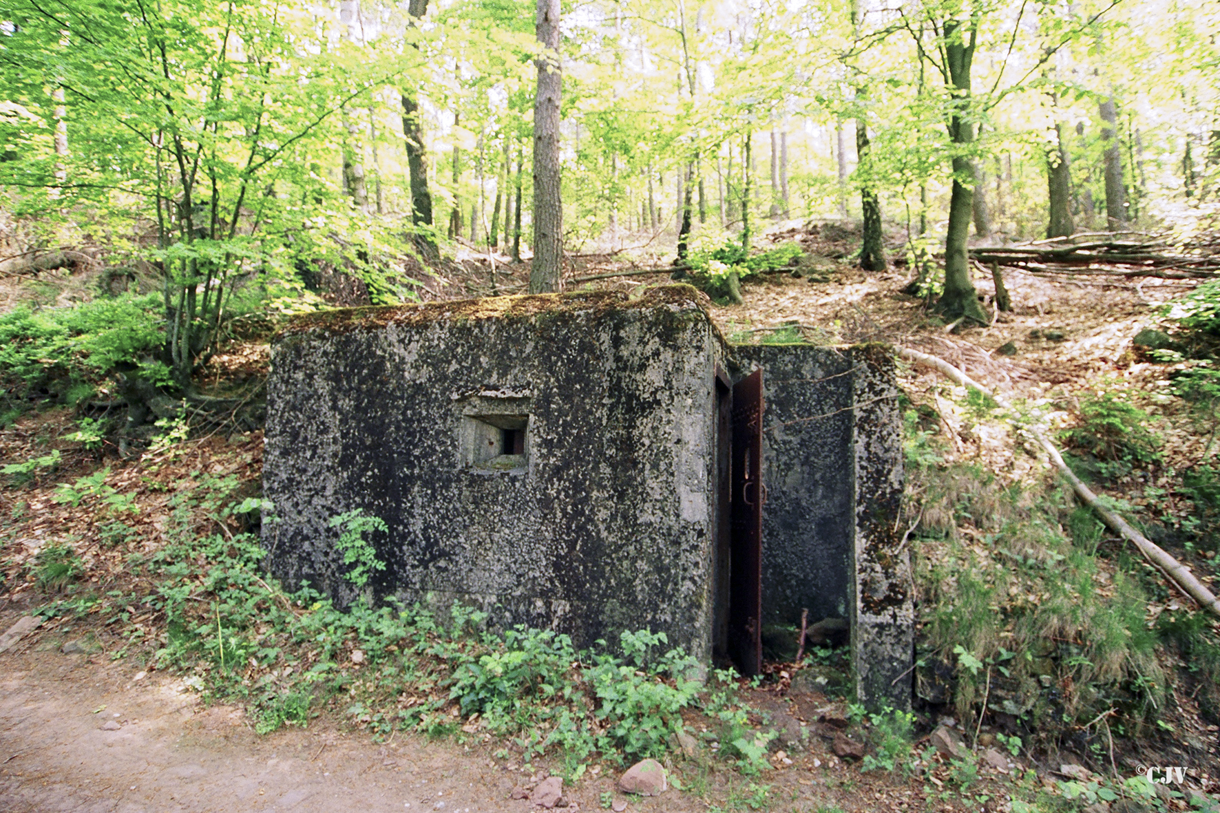 Ligne Maginot - FM78 - BETZENTHAL 5 - (Blockhaus pour arme infanterie) - Créneau latéral et entrée - Lia VERMEULEN