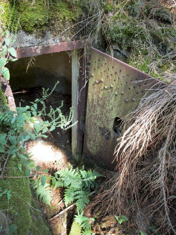 Ligne Maginot - FM40 - BETZENTHAL 3 - (Blockhaus pour arme infanterie) - L'entrée - Fré Do