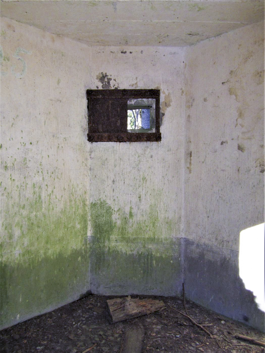 Ligne Maginot - FM40 - BETZENTHAL 3 - (Blockhaus pour arme infanterie) - Le créneau frontal - Gregory Fuchs