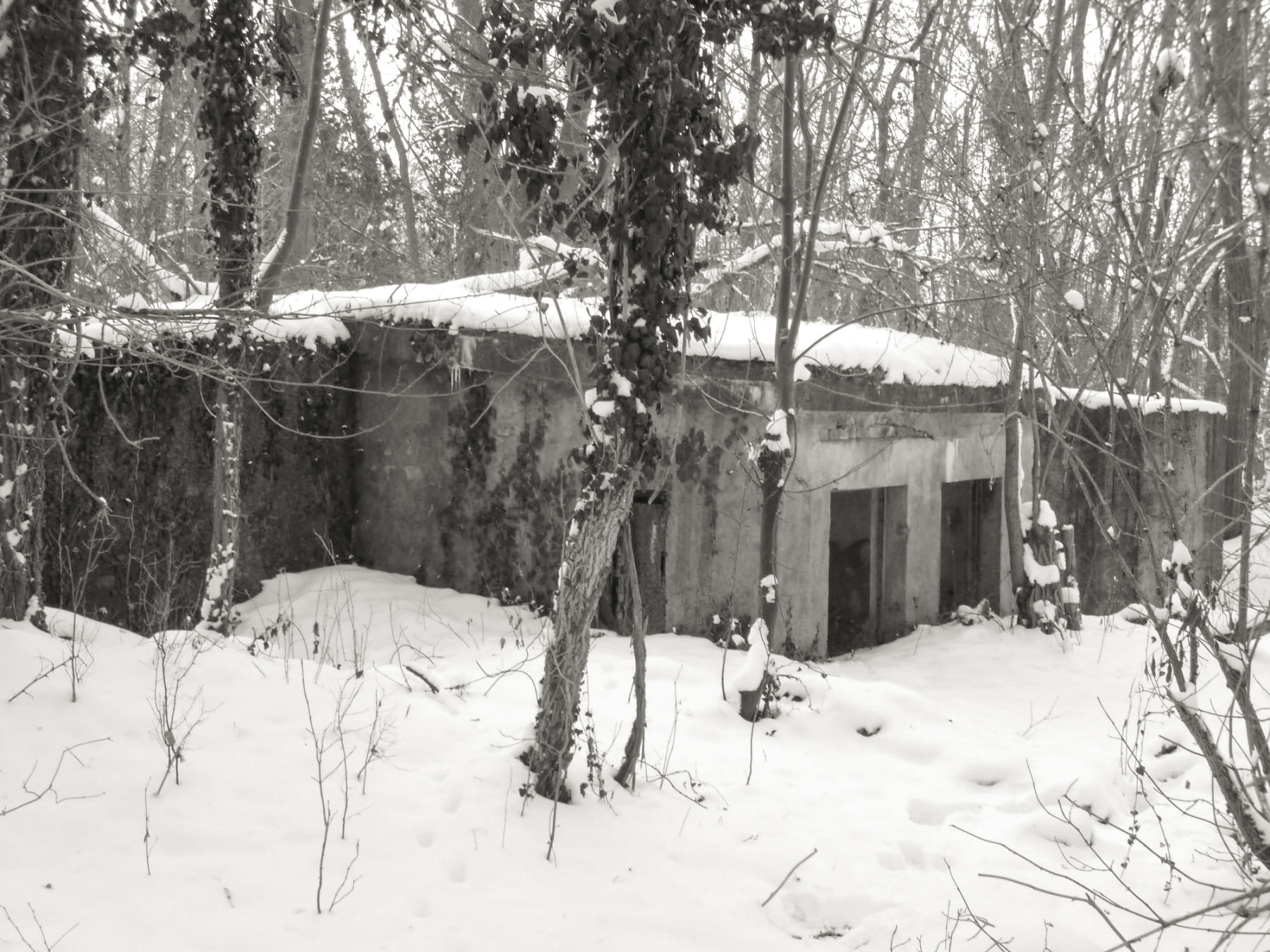 Ligne Maginot - QUARTIER MARCKOLSHEIM (1°BON - 42°RIF) - (PC de Quartier) -  - Christophe Haffner