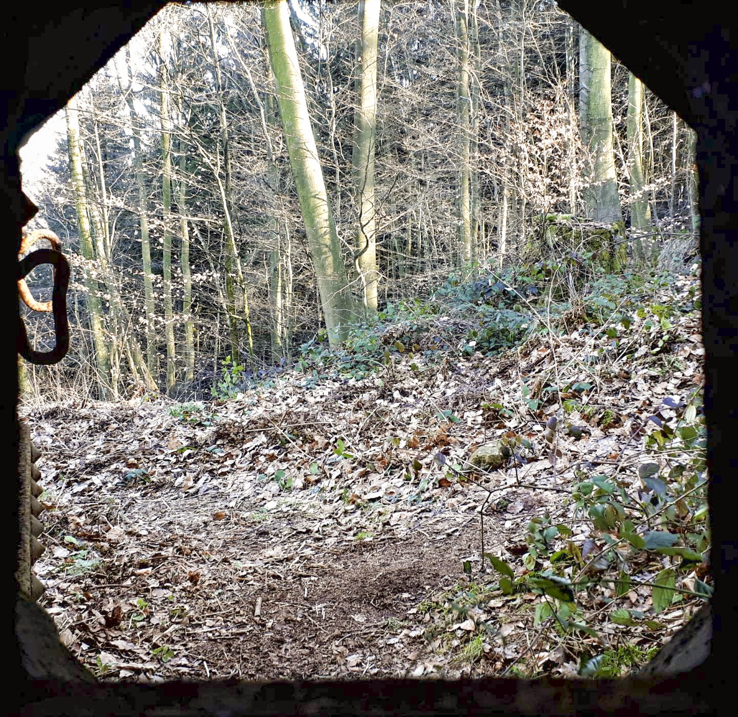 Ligne Maginot - GUNSTHAL COL EST - (Blockhaus pour arme infanterie) - Vue depuis le créneau FM de la caponnière - Gregory Fuchs
