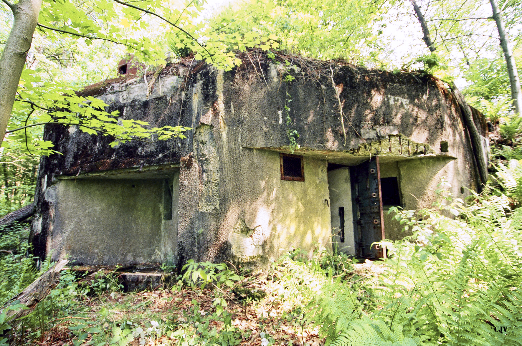 Ligne Maginot - GUNSTHAL COL OUEST - (Blockhaus pour arme infanterie) - Vue sur l'entrée et les deux créneaux FM - Lia VERMEULEN