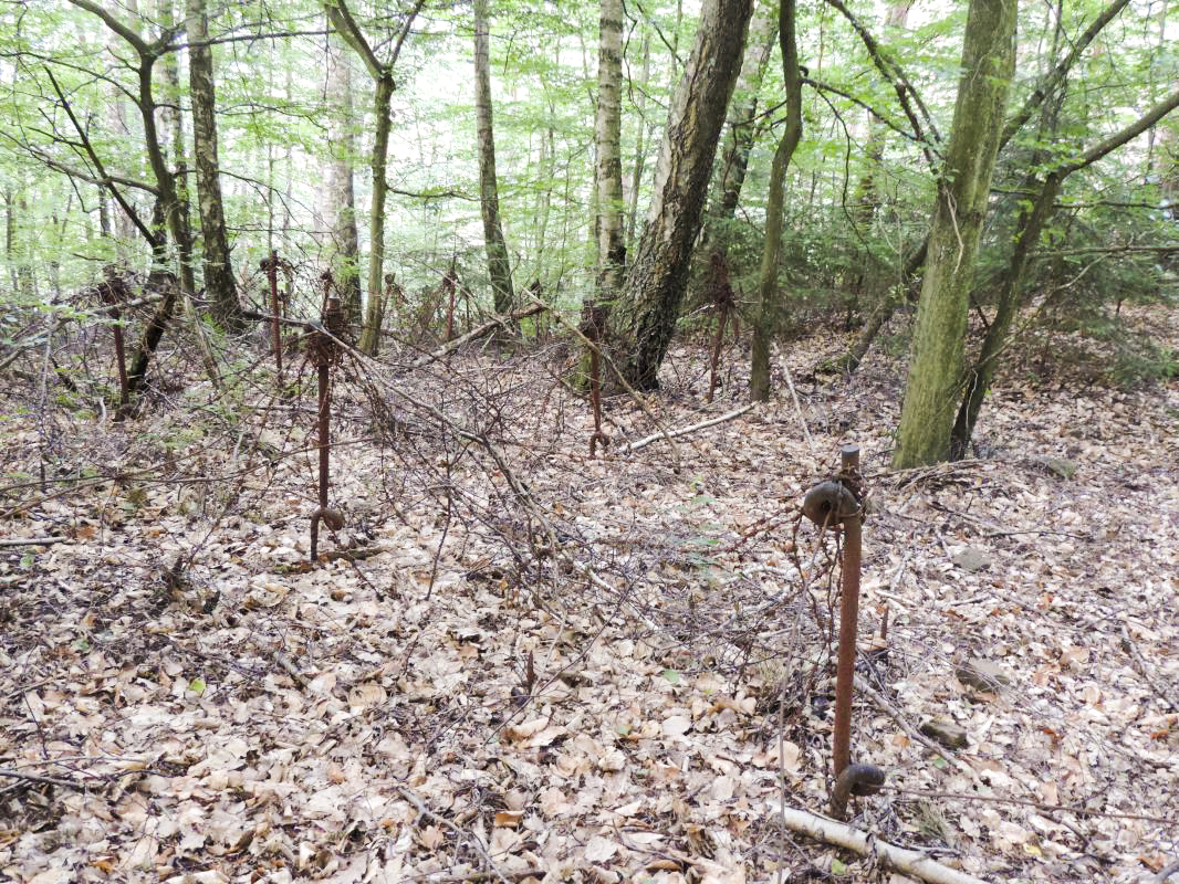 Ligne Maginot - GUNSTHAL COL OUEST - (Blockhaus pour arme infanterie) - Restes du réseau anti-personnel  - Claude HETZEL