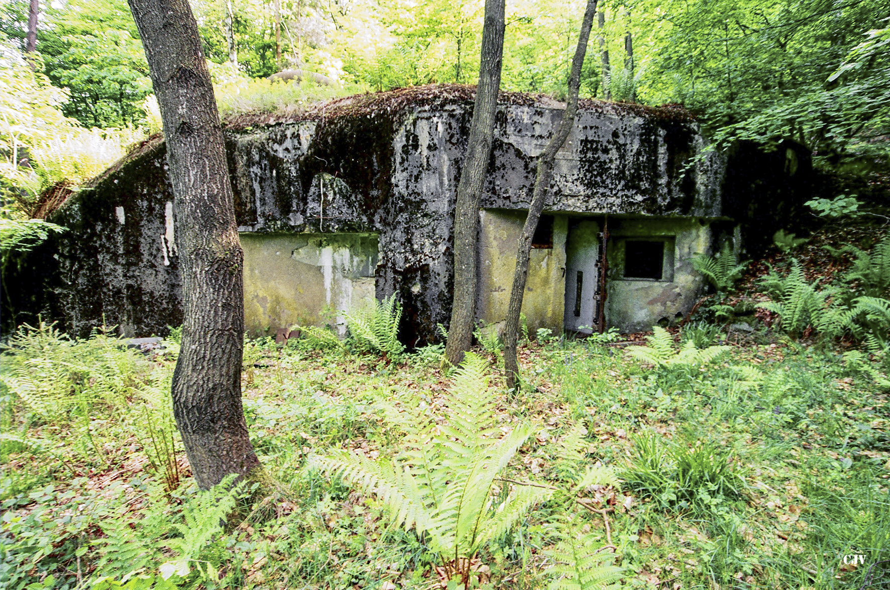 Ligne Maginot - GUNSTHAL FERME EST - (Blockhaus pour arme infanterie) - Façade du blockhaus - Lia VERMEULEN