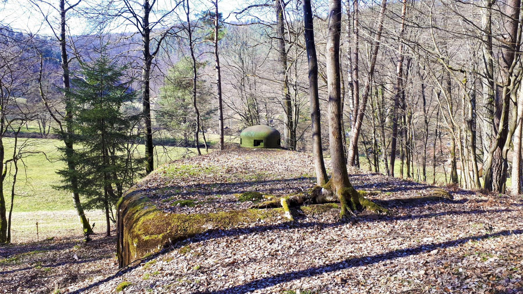Ligne Maginot - GUNSTHAL FERME EST - (Blockhaus pour arme infanterie) - La cloche GFM surplombant le vallon de Guensthal - Gregory Fuchs
