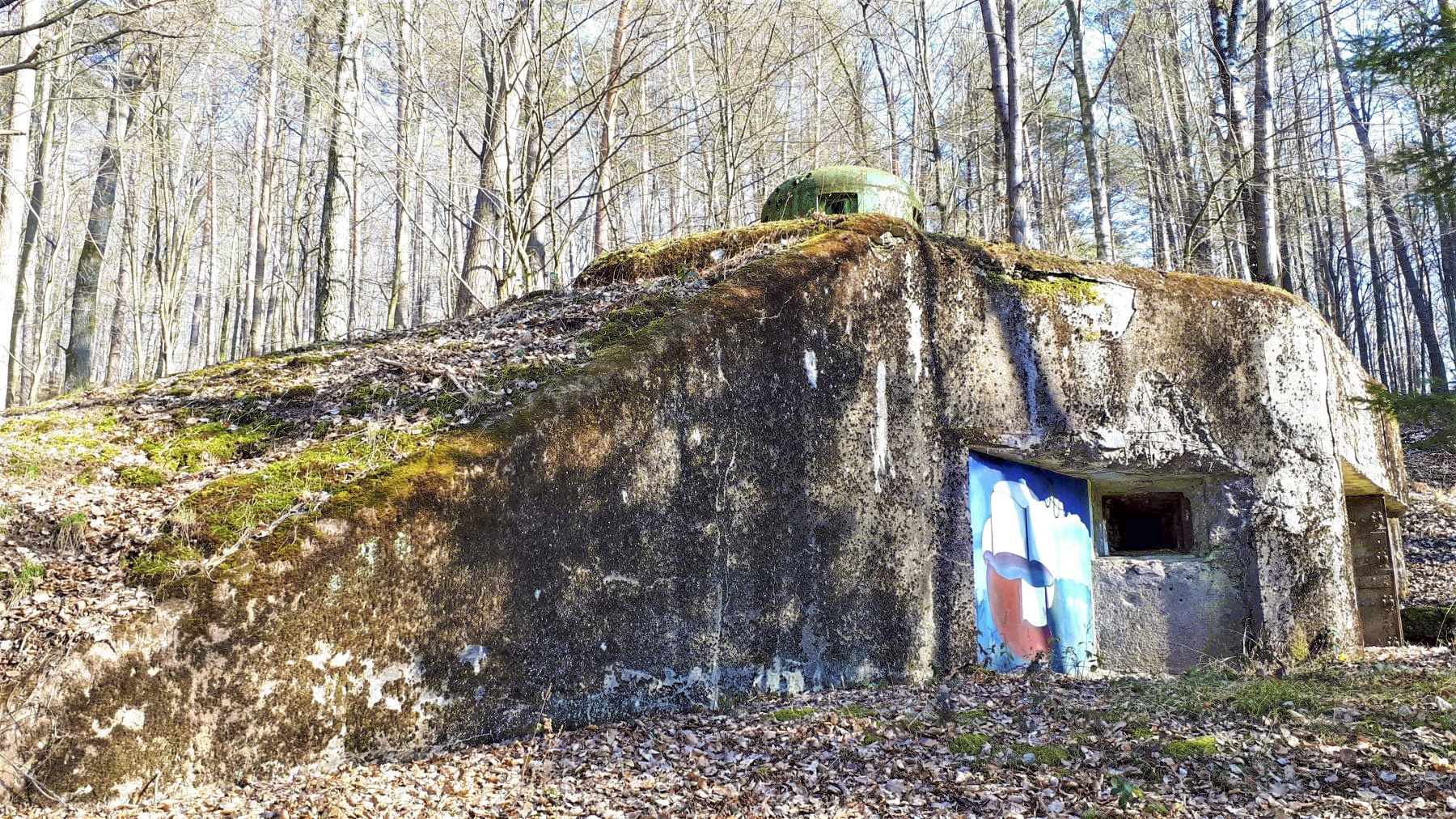 Ligne Maginot - GUNSTHAL FERME EST - (Blockhaus pour arme infanterie) - Vue sur la chambre de tir - Gregory Fuchs