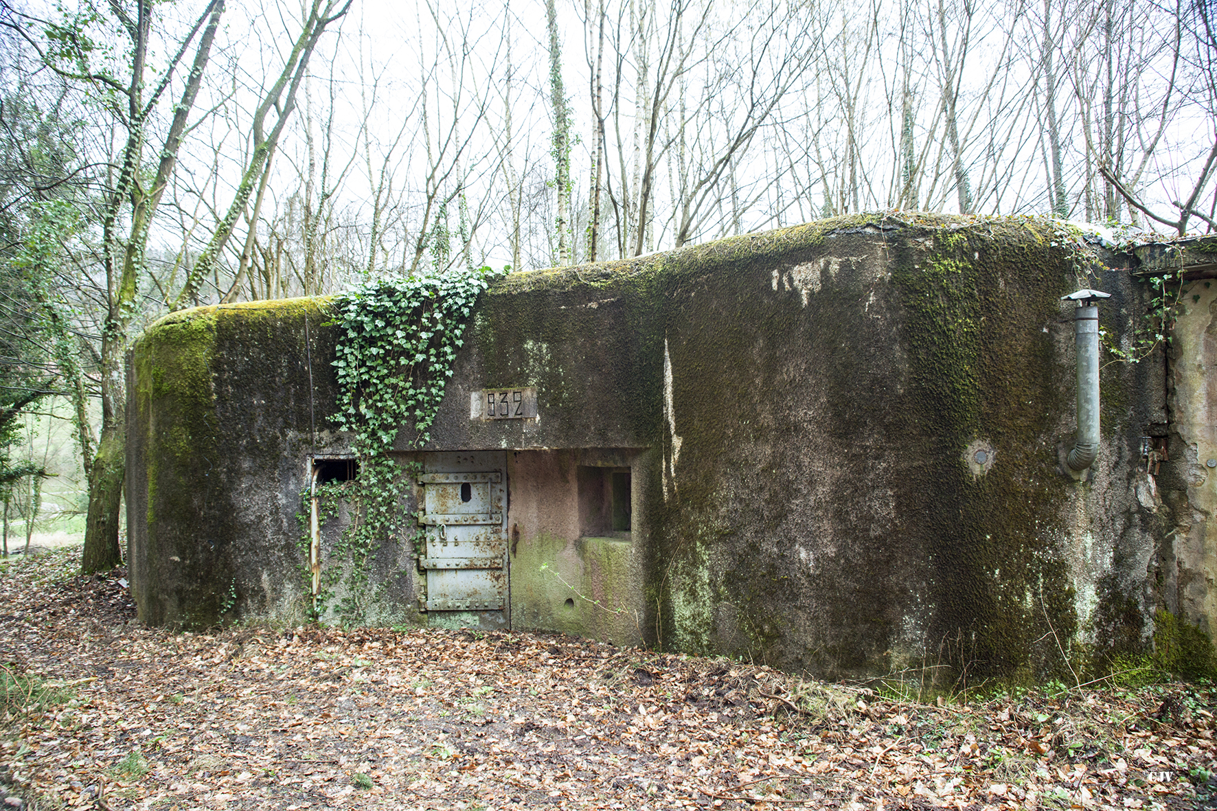 Ligne Maginot - NAGELSTHAL - (Blockhaus pour arme infanterie) - Façade de l'entrée - Lia VERMEULEN